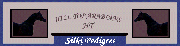 Silki Pedigree