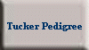 Tucker Pedigree